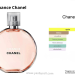 Chance Chanel
